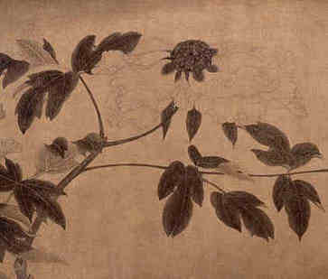 属虎的男孩取名大全四个字，运势如何发展