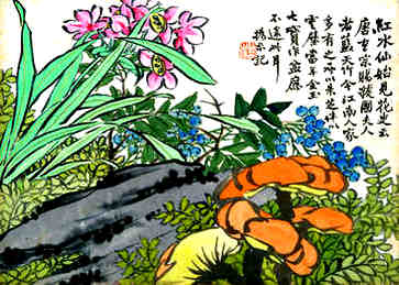 偏财格女命性格特点，求真务实生活