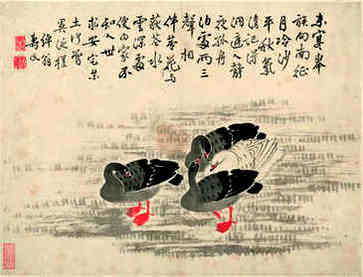 女性面部痣分析右下巴，主权