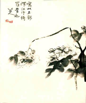 使用方法及注意事项
