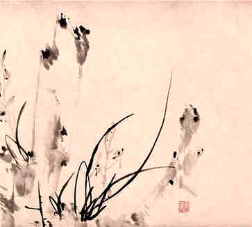 三伏天吃什么去寒湿有什么好处 三伏天吃什么去寒湿有什么好处