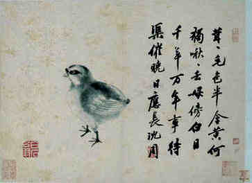 属虎的人应该用什么词来命名，好字好运相伴
