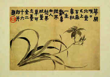 佛教眼中的众生平等