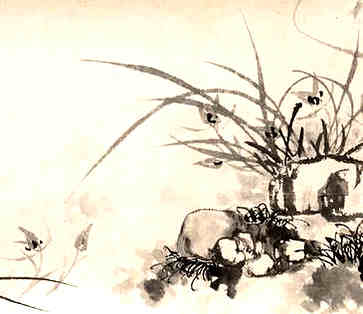 命理解，五行属木和什么相克