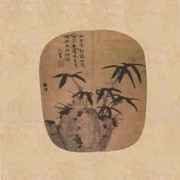 农历哪一天出生的富贵虎，有吉运，福气常伴，一生富贵！