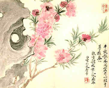 冻哭三九天来了，养生有哪些关键词？