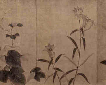 女人富贵命罕见手掌断掌，左手断掌