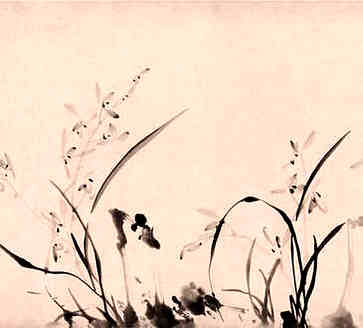 中元节的习俗是什么，传统的