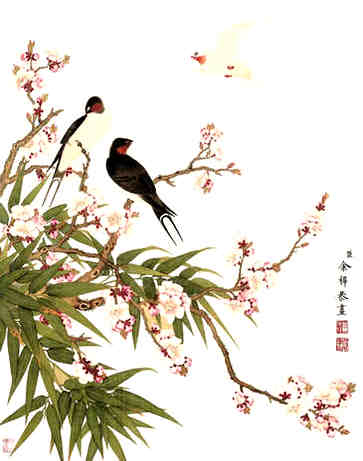 运动健身淘宝店名称&，趋势名称解释