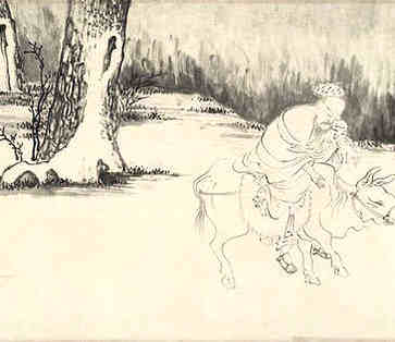 额头高，脸宽的男人，可以聚财