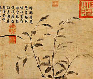 女性眉毛痣相最新全图，右眉有痣
