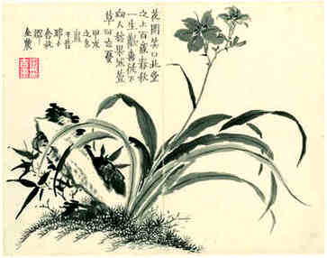金牛座在60年相遇，天性温良敦厚