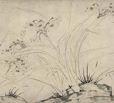 虎宝宝出生于，属虎人一生运势
