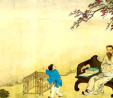 出生在小雪节气的老鼠的生活，一生万事不求人