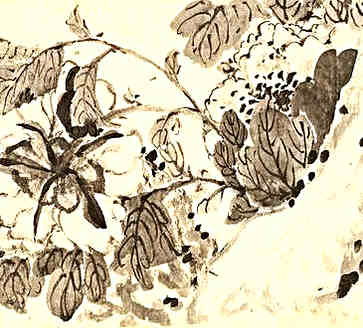花淑兰的评剧唱段有哪些花淑兰段大全