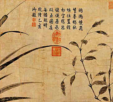 霍山黄芽属于什么茶