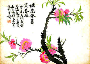 欧式女装店名称大全，美丽可爱的女装店名称