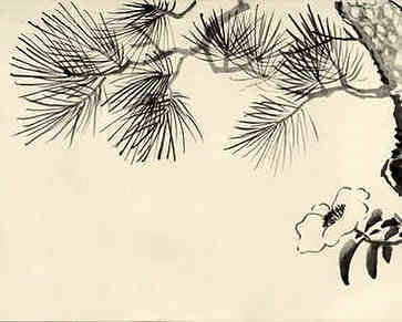 免费生命测量，虎年宝宝好不好，一生命运顺利