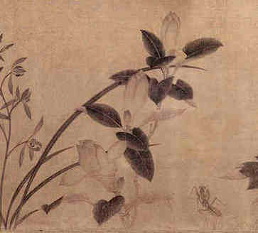卖花茶的名字是什么，伊品沁慕