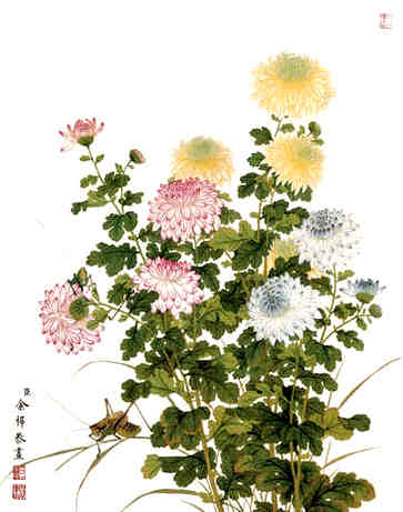 秦阳明爱情风水，吓走桃花运的坏习惯