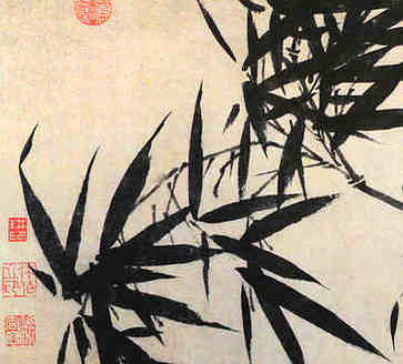 虎年为什么不生孩子性格弊端有哪些