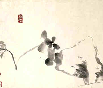 极其旺夫的女人面相特征，长什么样