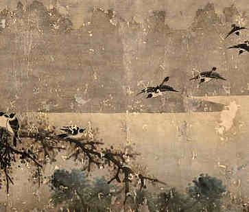 女人有兔牙的脸，头脑聪明