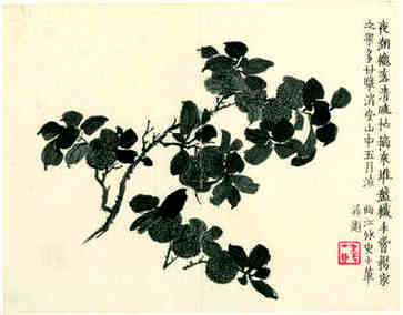 什么八字能嫁给贵夫有钱人食神格局聪明好学