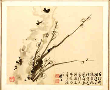 出生于几个月的虎宝宝有什么具体表现