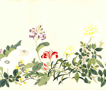 办公室养什么植物