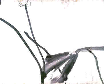 汤粉的名字是什么