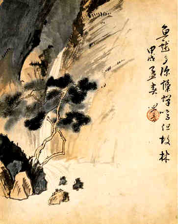 创新蛋糕店，引人注目的名字推荐