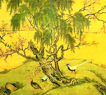 平安夜礼物或圣诞礼物，苹果代表什么？