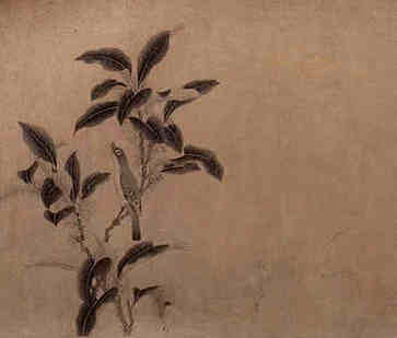 适合过年家庭插花，北美冬青