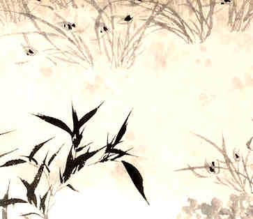 八种植物促进风水，家里经常养钱和繁荣