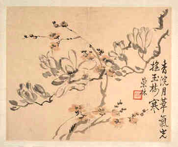 出生的虎宝宝几个月最好，整体命运如何