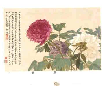 袜子店的名字旺人