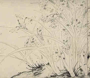 家里摆什么花，对运势好
