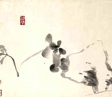 著名吴文化地名来源，青阳镇烟火千家