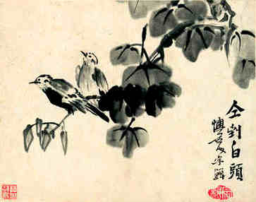 好听的淘宝店名字大全，听起来大气