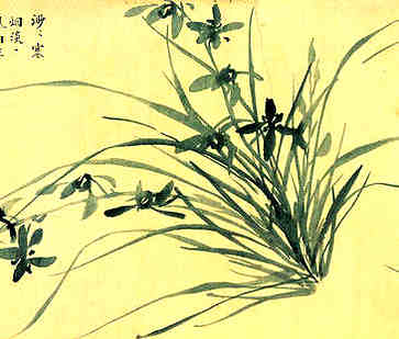 餐厅名字大全