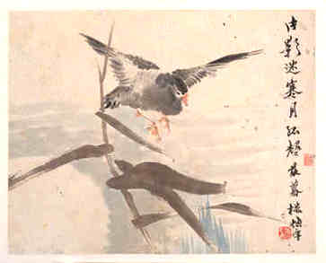 鼻梁上有痣代表什么