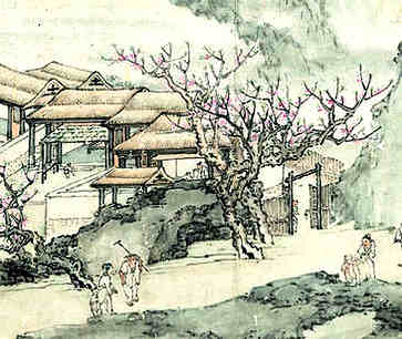 生肖虎公司命名大全，低调奢华命名