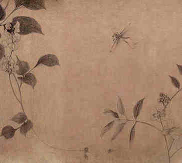 女人的下巴有几种面部，预示着什么