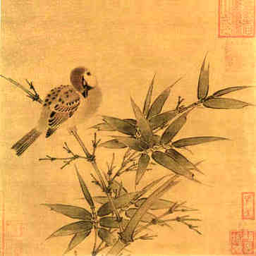 有酒窝的女人寓意好吗晚年运势怎么样