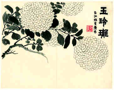 小雪节气有什么问题，小雪节气养生应该吃什么？